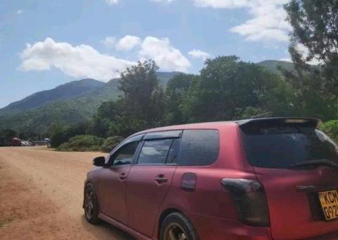 Toyota Fielder Modified - 2/3