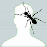 Ahmed